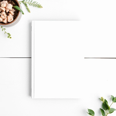 Digital guide or eBook mockup