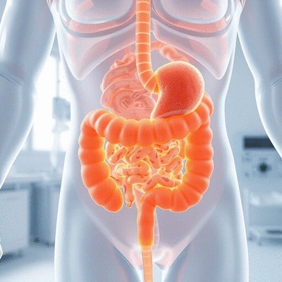 Probiotics helping digestion