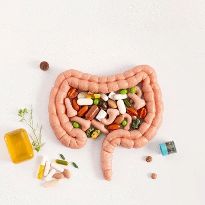 Healthy gut microbiome and supplements